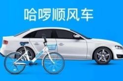 【2分钟科普下】丽江股份公司_哔哩哔哩-2